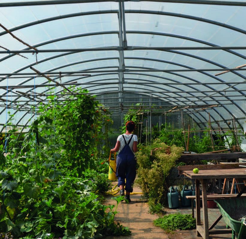 Marre du bureau ? Reconvertissez-vous au jardin ! 1